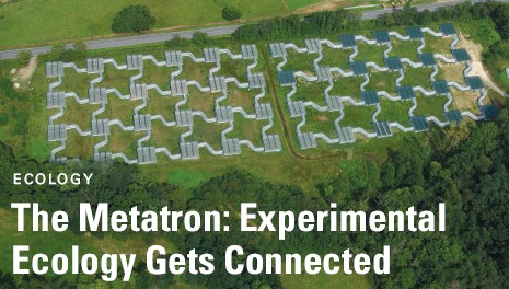 Metatron: the largest experimental terrestrial metapopulation setup worldwide 